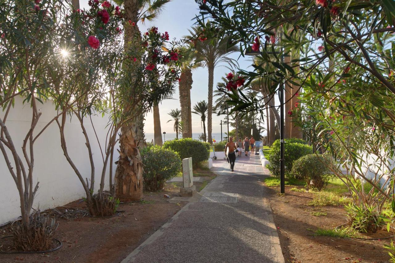 Apartment At 30 Mts From Sea Playa de las Americas  Zewnętrze zdjęcie